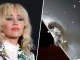 Lightning Strucks Miley Cyrus Plane