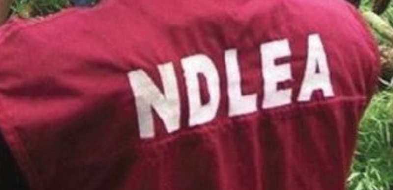 Lagos backs NDLEA, NIS against drug dealers and users